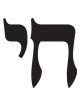 חולצת טי שרוול ארוך של חי | חולצות יהודיות